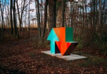 Up and Down Arrow in a Forest