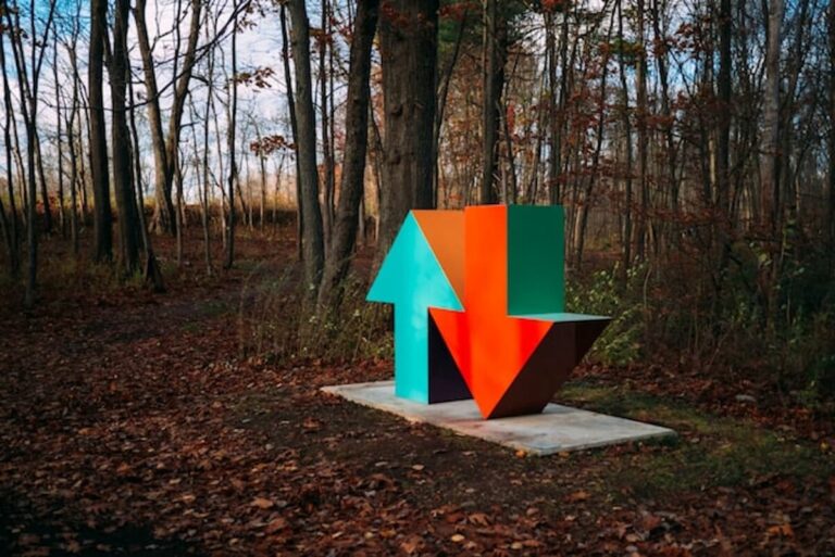 Up and Down Arrow in a Forest